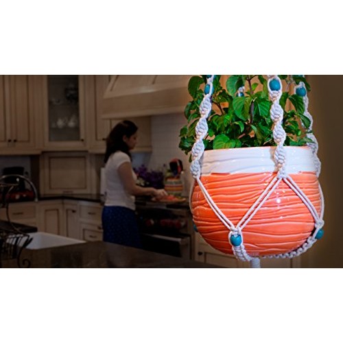 Livalaya Macrame Plant Hanger Hanging Planter - Indoor Outdoor Mac...