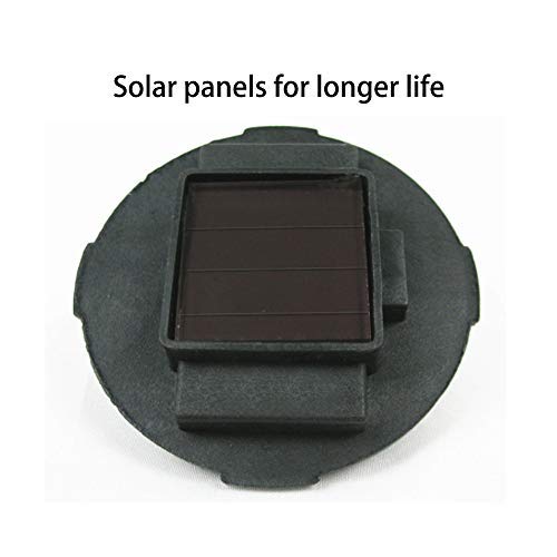 Solar Floating Light Beautiful Vibrant Colorful Lotus Flower Pond ...