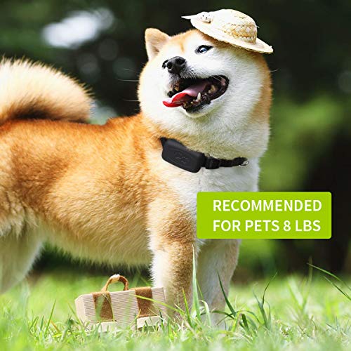 LMHOME GPS Pet Tracker, Real Time Dogs Cats Locator Finder - Water...