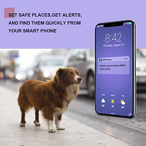 LMHOME GPS Pet Tracker, Real Time Dogs Cats Locator Finder - Water...