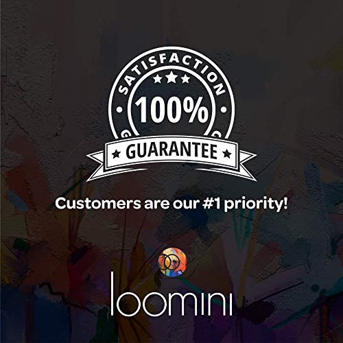 Loomini Acrylic Paint Brush Set with 24 Acrylic Paint Set 12ml Hea...