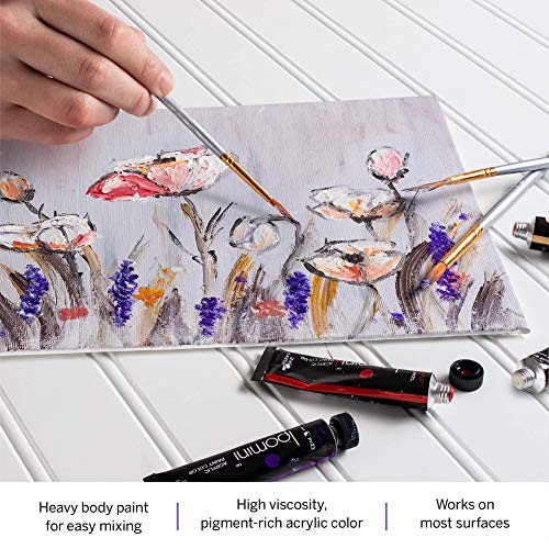 Loomini Acrylic Paint Brush Set with 24 Acrylic Paint Set 12ml Hea...