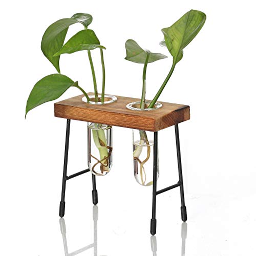 Loprt Glass Hanging Planter Hanging Air Plant Terrarium Decorative...