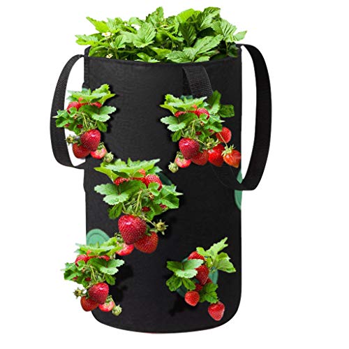 Ltrotted Hanging Strawberry Planter for Strawberry Bare Root Plant...