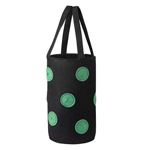 Ltrotted Hanging Strawberry Planter for Strawberry Bare Root Plant...