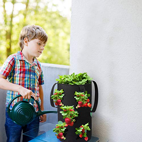 Ltrotted Hanging Strawberry Planter for Strawberry Bare Root Plant...
