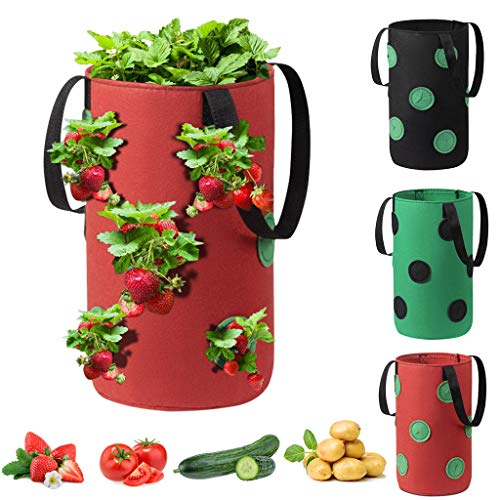 Ltrotted Hanging Strawberry Planter for Strawberry Bare Root Plant...