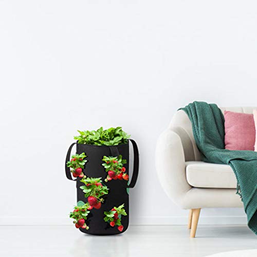 Ltrotted Hanging Strawberry Planter for Strawberry Bare Root Plant...