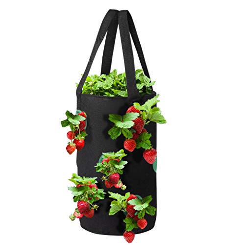 Ltrotted Hanging Strawberry Planter for Strawberry Bare Root Plant...