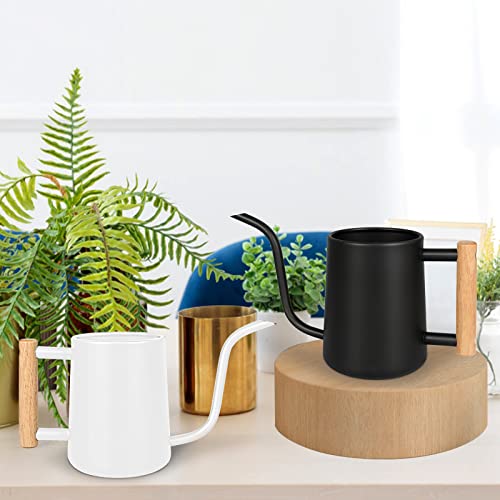 Watering Can Indoor Plants, 35 oz/1000 ml Metal Stainless Steel Wa...