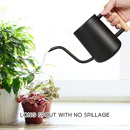 Watering Can Indoor Plants, 35 oz/1000 ml Metal Stainless Steel Wa...