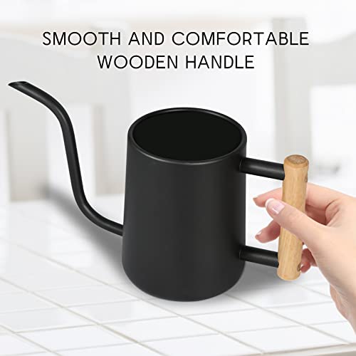 Watering Can Indoor Plants, 35 oz/1000 ml Metal Stainless Steel Wa...