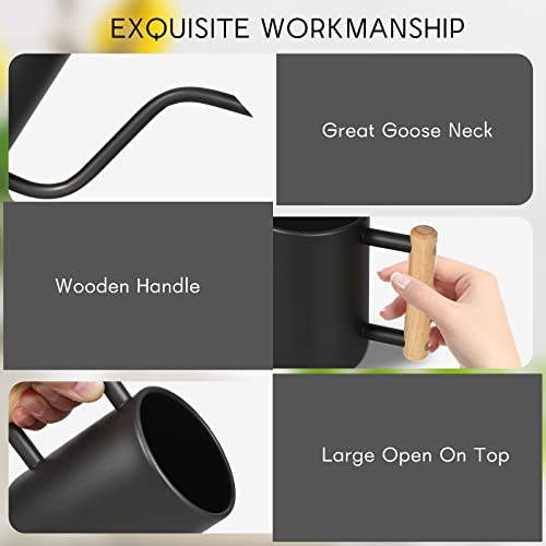 Watering Can Indoor Plants, 35 oz/1000 ml Metal Stainless Steel Wa...