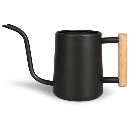 Watering Can Indoor Plants, 35 oz/1000 ml Metal Stainless Steel Wa...
