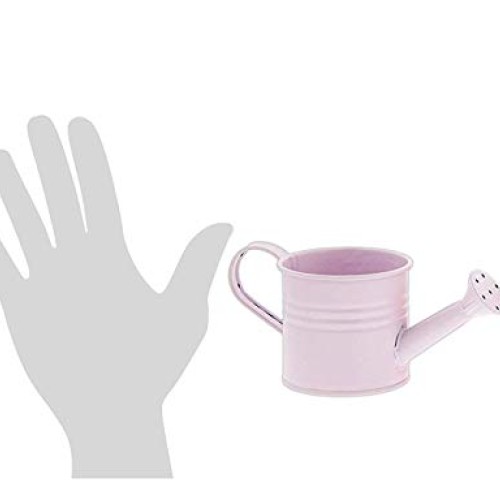 Set of 4 Metal Watering Can Planters in Light Pink, Hot Pink, Whit...