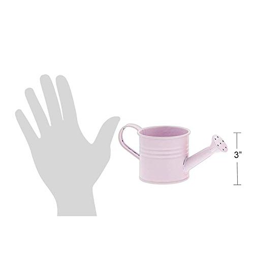 Set of 4 Metal Watering Can Planters in Light Pink, Hot Pink, Whit...