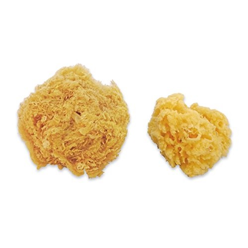 Natural Sea & Synthetic Sponges - Assorted Sizes 7pc Value Pack fo...