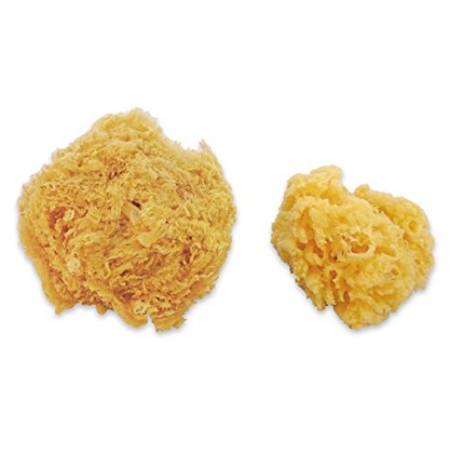 Natural Sea & Synthetic Sponges - Assorted Sizes 7pc Value Pack fo...