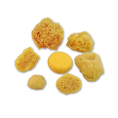 Natural Sea & Synthetic Sponges - Assorted Sizes 7pc Value Pack fo...