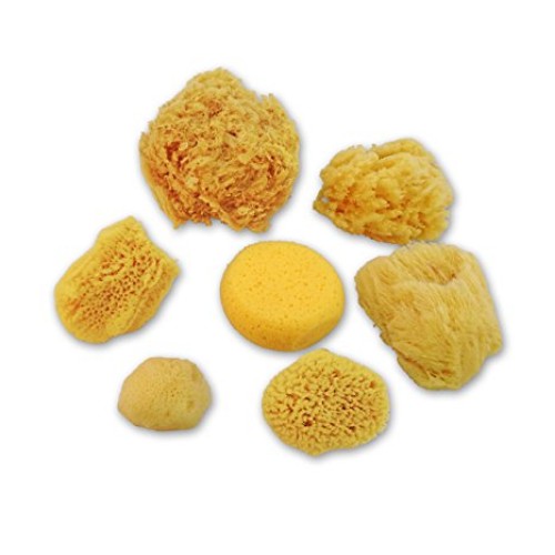 Natural Sea & Synthetic Sponges - Assorted Sizes 7pc Value Pack fo...