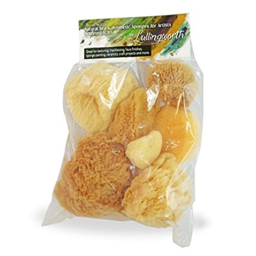 Natural Sea & Synthetic Sponges - Assorted Sizes 7pc Value Pack fo...
