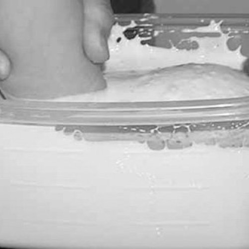 Single -Refill- for Luna Bean Infant Plaster Life Casting Kit Ste...