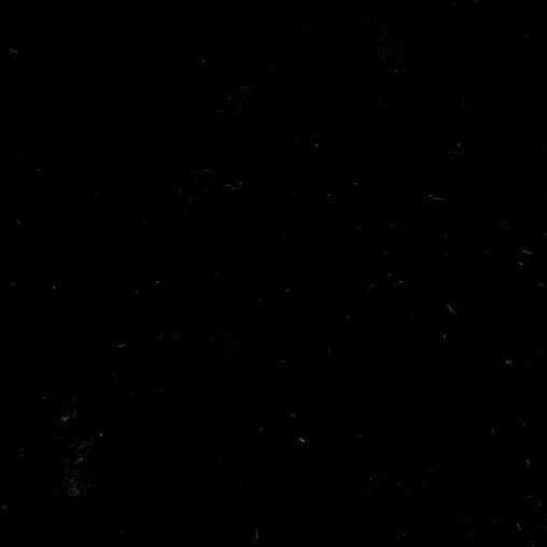 60-Inch Wide Poly/Cotton Broadcloth Fabric / 4 Yards / Black.