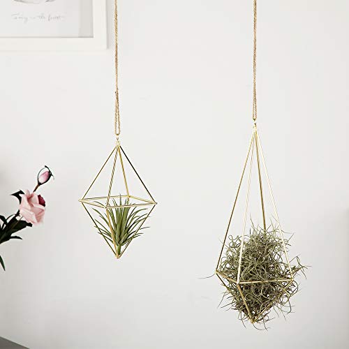 libproqia 4 Pack Air Plant Holder Gold Metal Himmeli Decor Modern ...