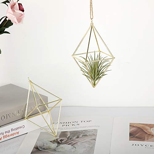 libproqia 4 Pack Air Plant Holder Gold Metal Himmeli Decor Modern ...
