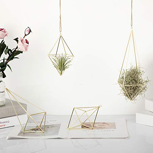 libproqia 4 Pack Air Plant Holder Gold Metal Himmeli Decor Modern ...