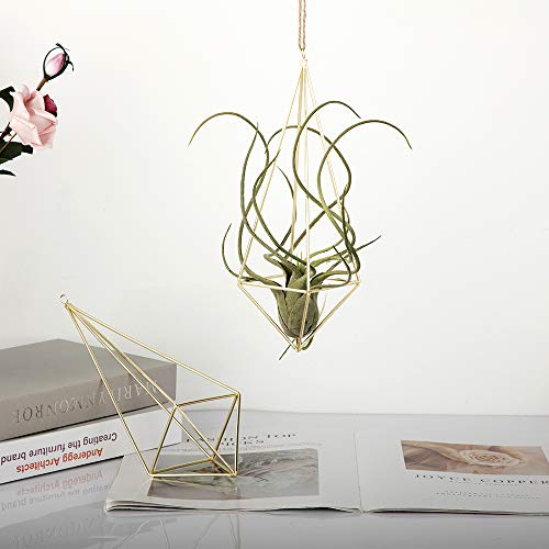 libproqia 4 Pack Air Plant Holder Gold Metal Himmeli Decor Modern ...