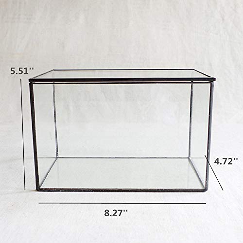 Rectangle Geometric Glass Terrarium Planter Decor Box Handmade Flo...