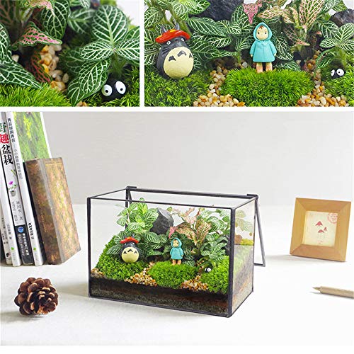 Rectangle Geometric Glass Terrarium Planter Decor Box Handmade Flo...