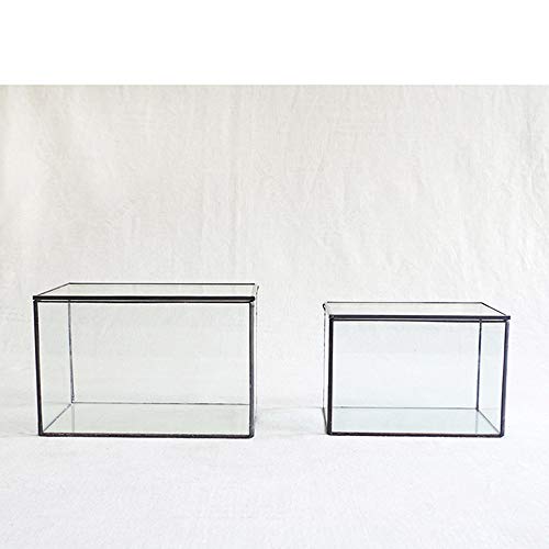 Rectangle Geometric Glass Terrarium Planter Decor Box Handmade Flo...