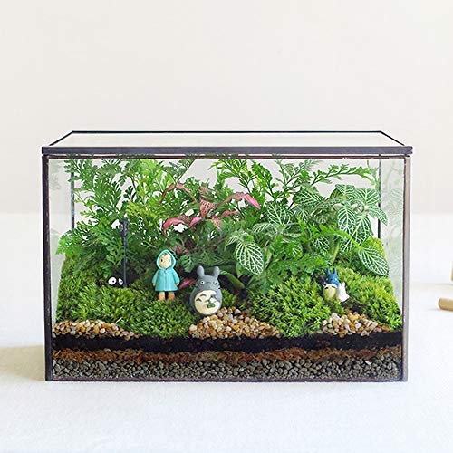 Rectangle Geometric Glass Terrarium Planter Decor Box Handmade Flo...
