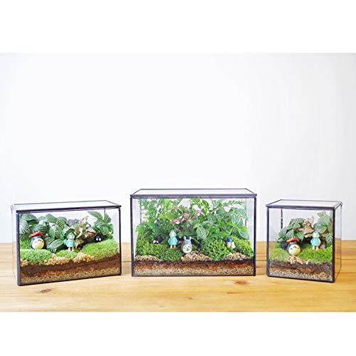 Rectangle Geometric Glass Terrarium Planter Decor Box Handmade Flo...
