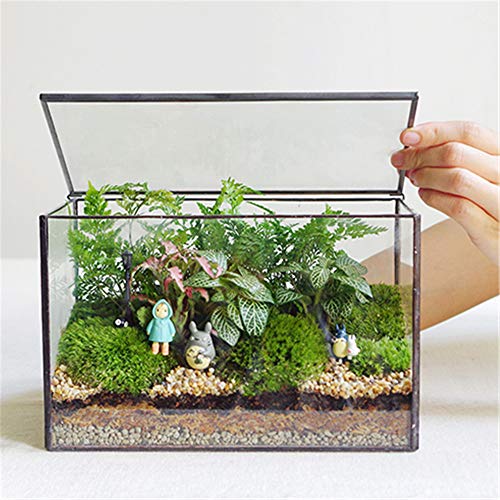 Rectangle Geometric Glass Terrarium Planter Decor Box Handmade Flo...