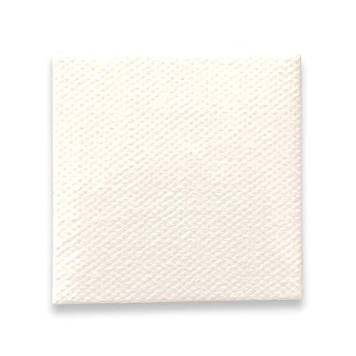 LWR CRAFTS Mini Stretched Canvas 2 X 2 Pack of 12