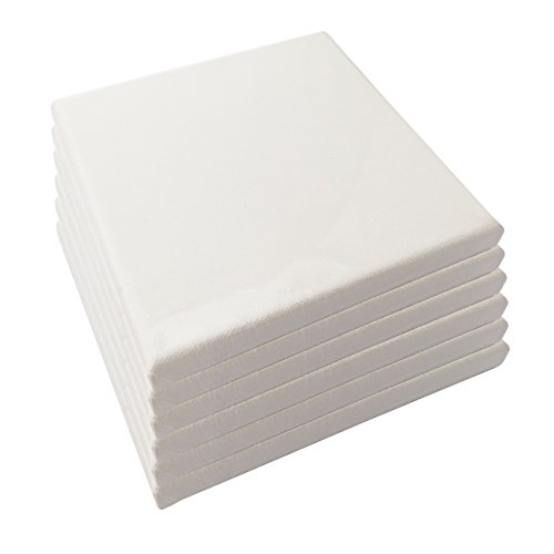 LWR Crafts Stretched Canvas 6 X 6 Pack of 6