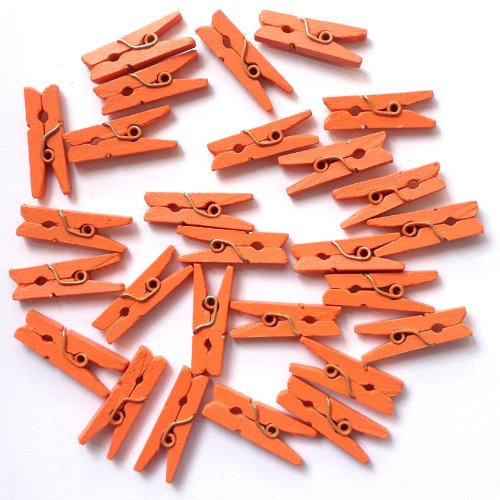 LWR CRAFTS Wooden Mini Clothespins 500 Per Pack 1 2.5cm Orange