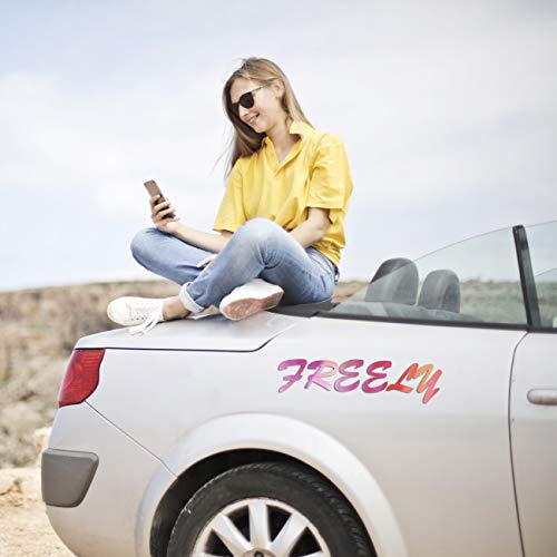Lya Vinyl 65 Adhesive Vinyl Sheets & 5 Holographic Vinyl Paper for...