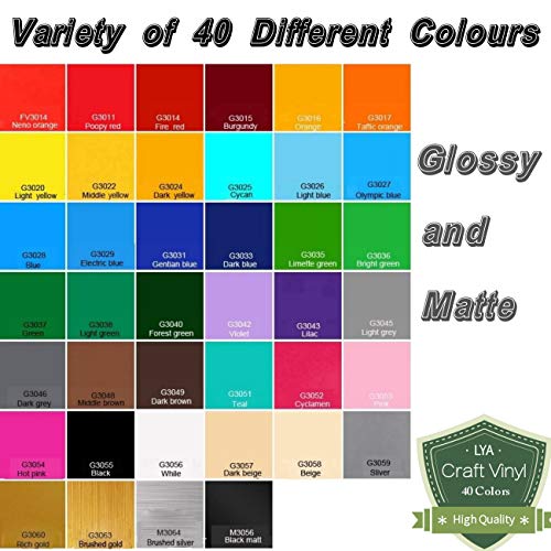 Lya Vinyl 65 Adhesive Vinyl Sheets & 5 Holographic Vinyl Paper for...