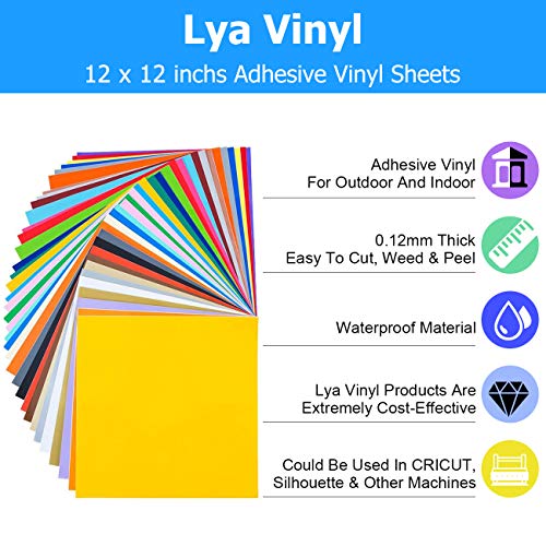 Lya Vinyl 65 Adhesive Vinyl Sheets & 5 Holographic Vinyl Paper for...