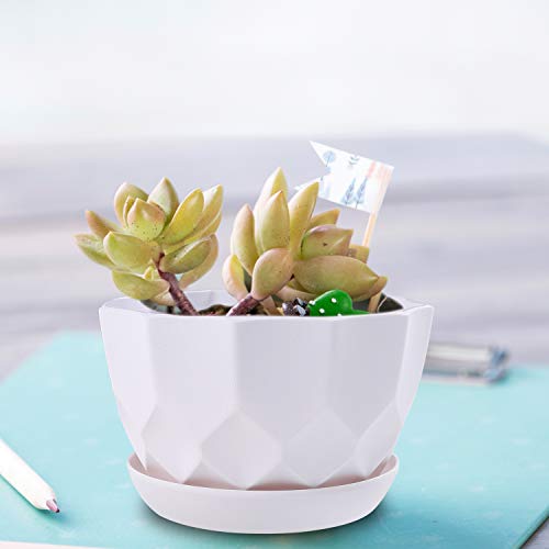 7 Inch Plant Flower Pots Indoor Plastic Planters with Drainage Hol...