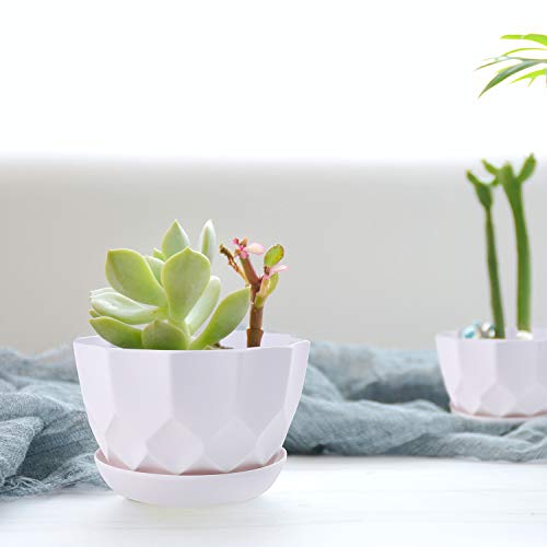 7 Inch Plant Flower Pots Indoor Plastic Planters with Drainage Hol...