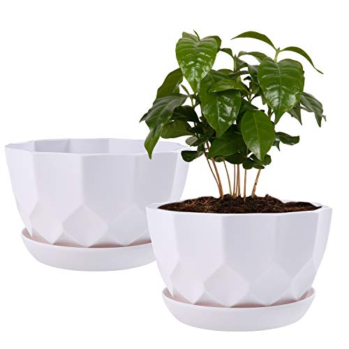 7 Inch Plant Flower Pots Indoor Plastic Planters with Drainage Hol...