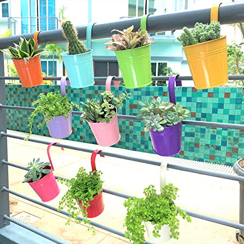 Hanging Pots for Plants - 10 Pack, Metal 4 Inch Pots for Plants wi...