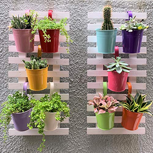 Hanging Pots for Plants - 10 Pack, Metal 4 Inch Pots for Plants wi...