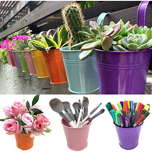 Hanging Pots for Plants - 10 Pack, Metal 4 Inch Pots for Plants wi...