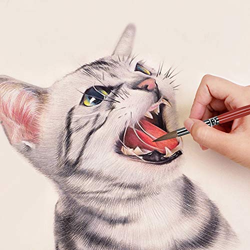 Artist Round Brushes - Red Sable Weasel Hair Long Ha...